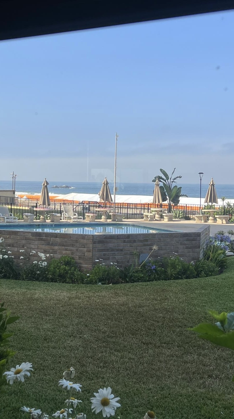 Lawn and flower beds leading to the pool, with parasols and the ocean on the horizon
